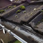 Gutter cleaning services