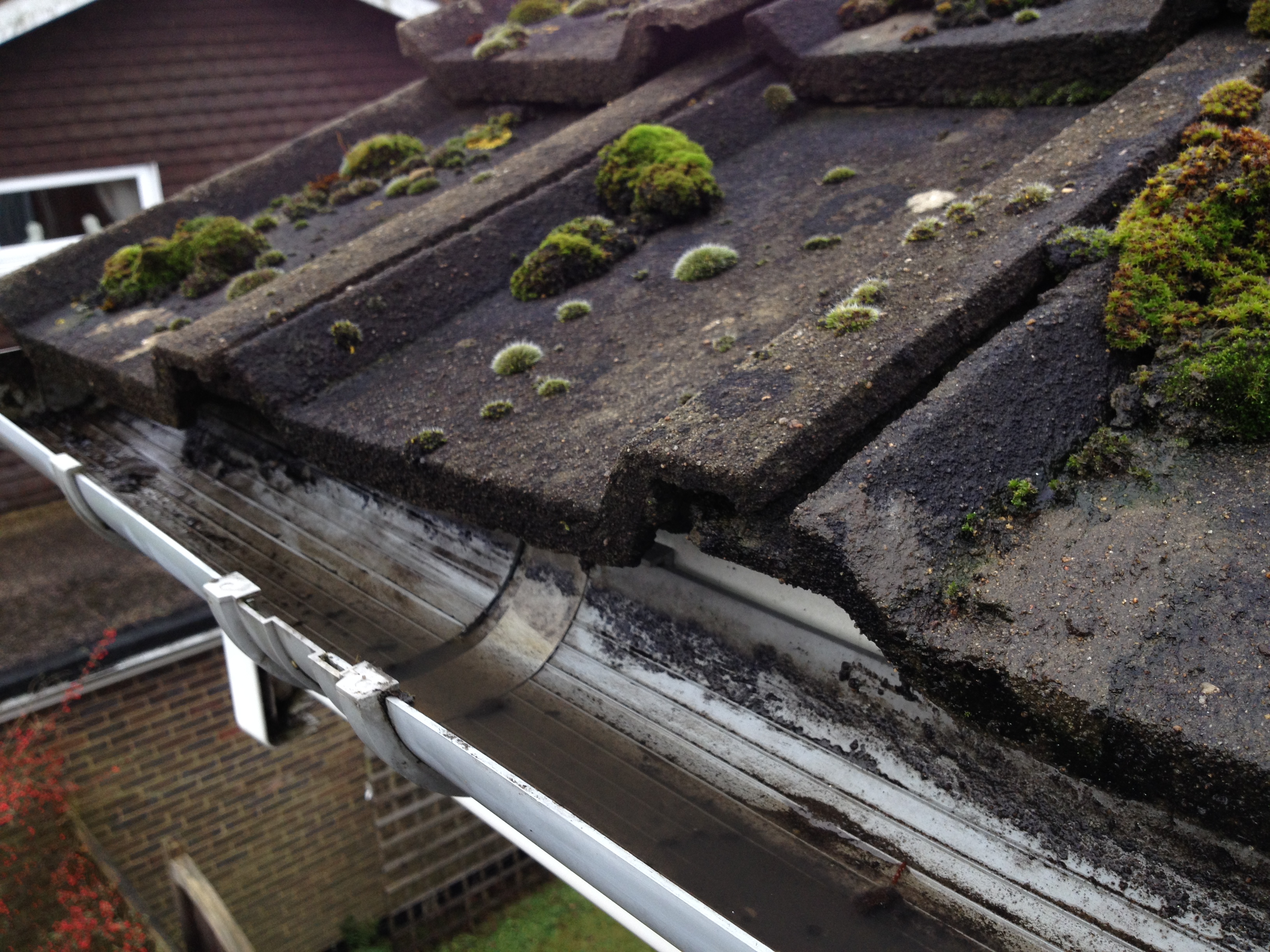 Gutter cleaning services