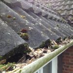 Gutter cleaning