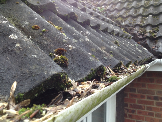 Guttering company Kent and East Sussex