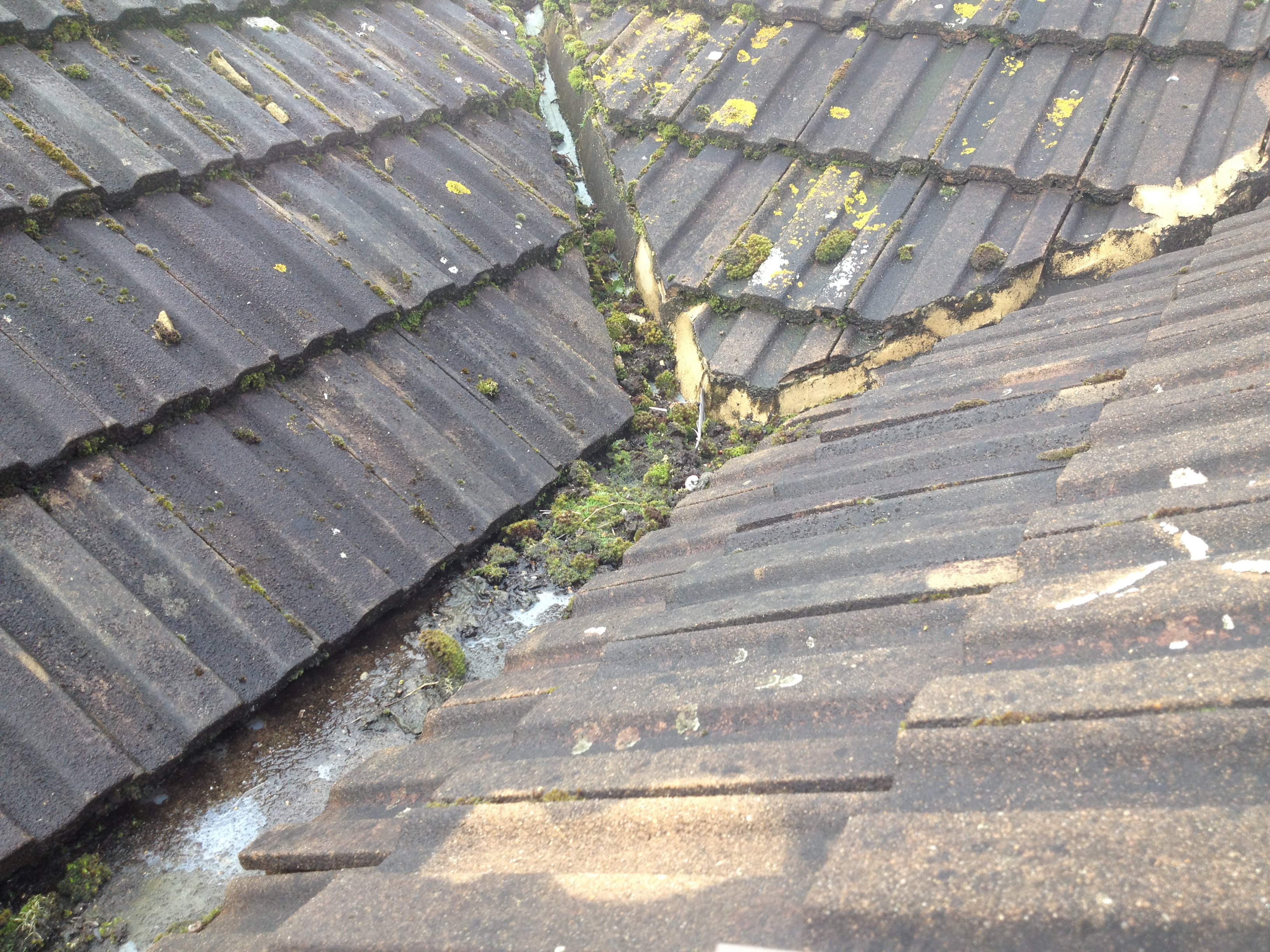 Guttering and downpipe overhaul