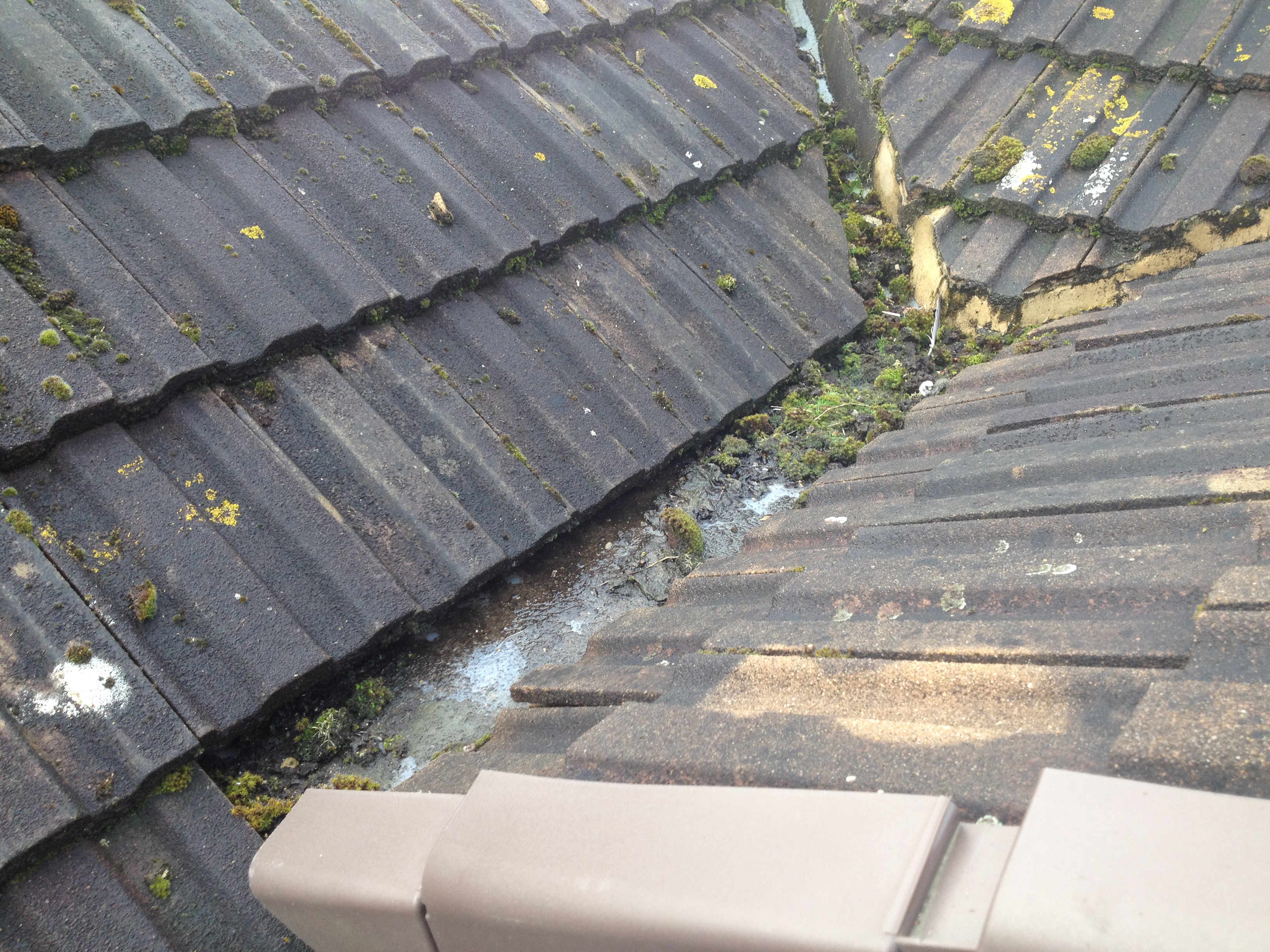 Traditional Gutter Cleaning